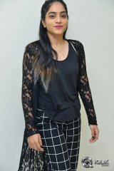 Punarnavi Bhupalam at Pittagoda Movie Release Press Meet